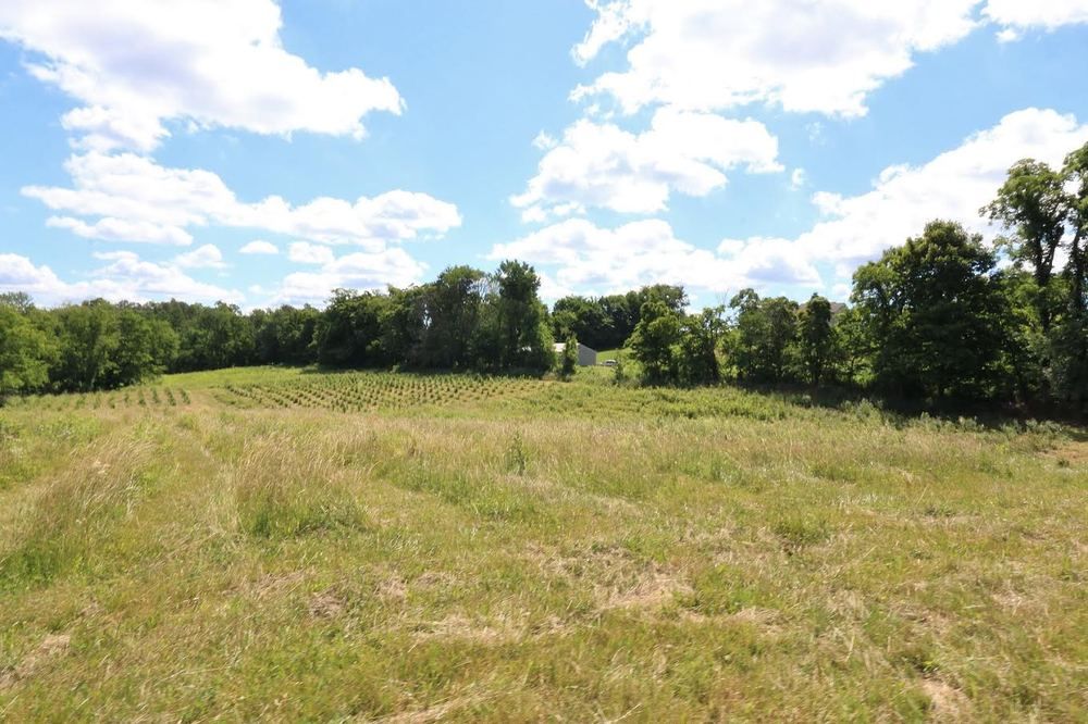 Old Log House Plantation Inc: 8656 State Route 13 NW, Somerset, OH 43783